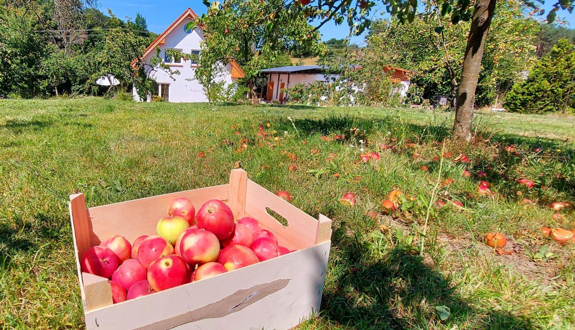 Dobre Miejsce Villa Miedzyzdroje Bagian luar foto